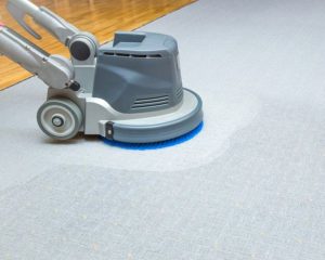 Carpet and sofa washing